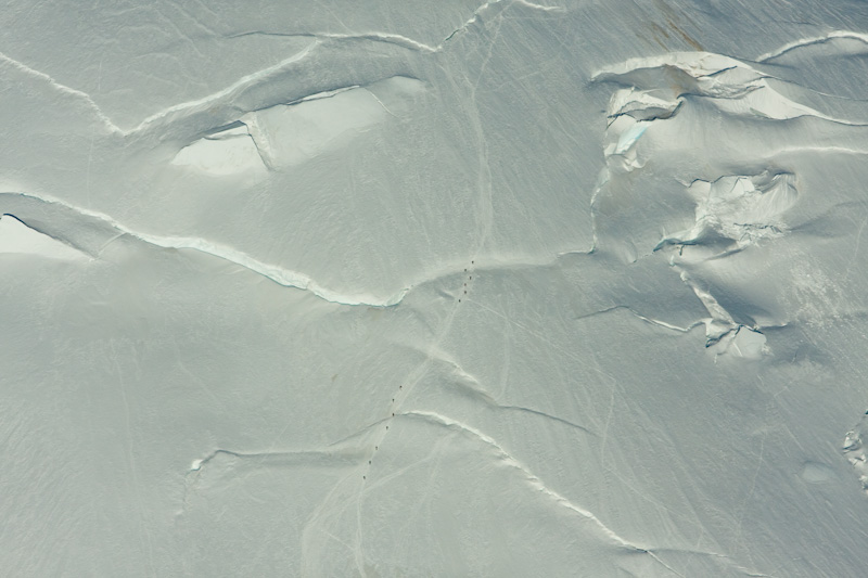 Climbers On The Emmons Glacier